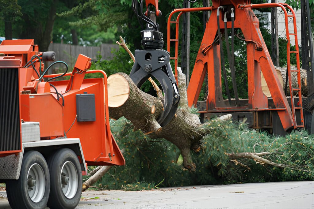 Steptodown.com317505 1024x683