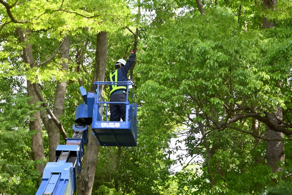 steptodown.com492966