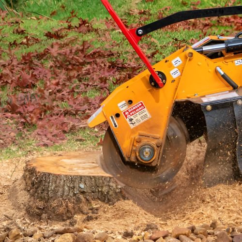 stump grinding